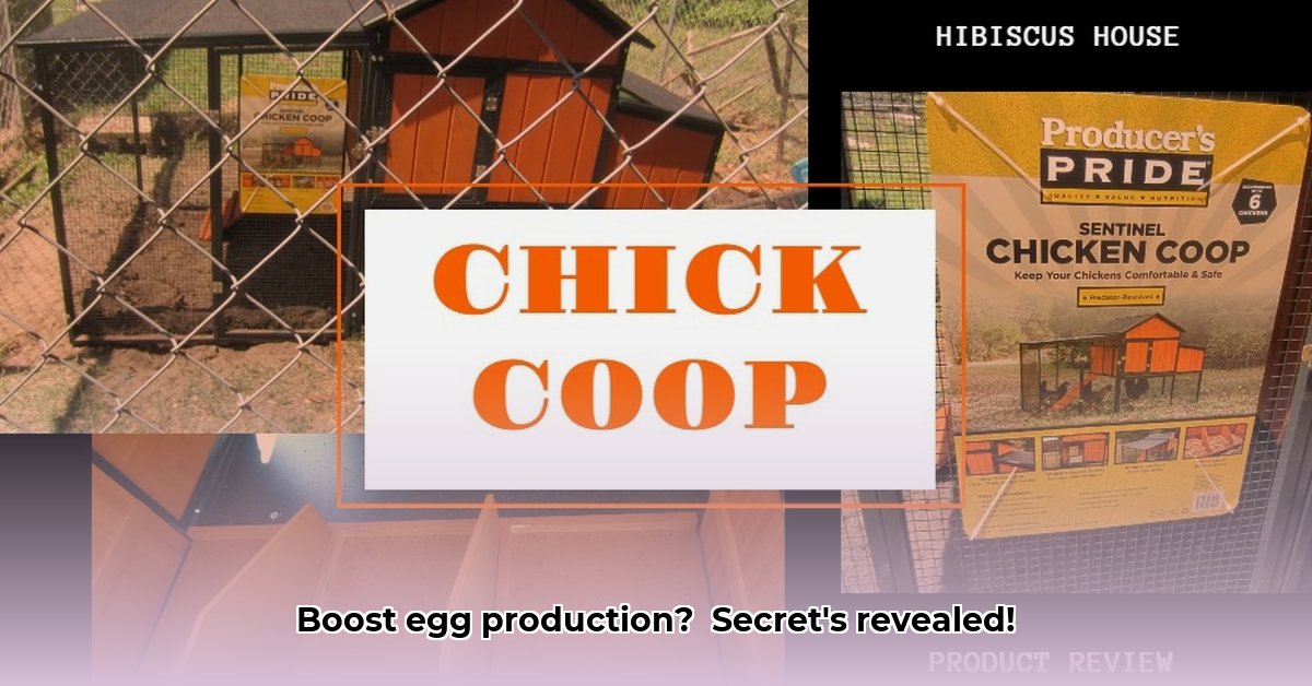 chicken-nesting-boxes-tractor-supply